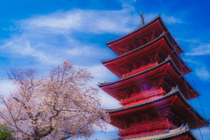 池上本門寺の画像2