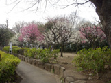 油面公園