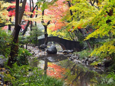 有栖川宮記念公園の画像1