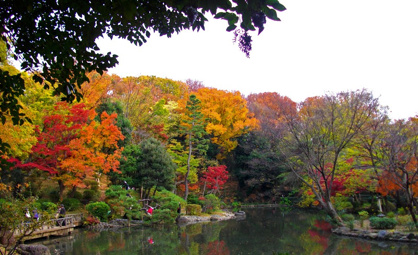 有栖川宮記念公園の画像2