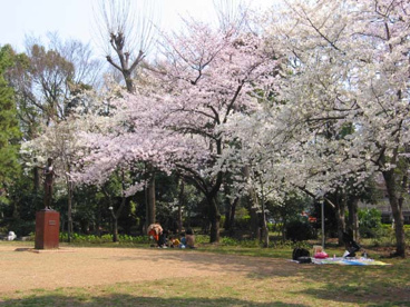 有栖川宮記念公園の画像3