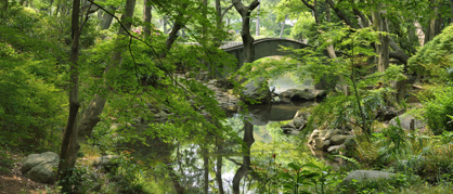有栖川宮記念公園の画像4