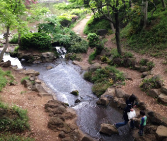有栖川宮記念公園の画像5