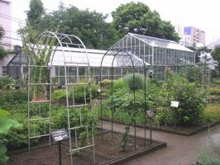 星薬科大学薬用植物園