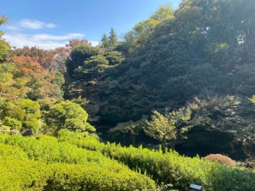 池田山公園の画像1