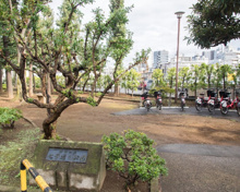 公園 七号通り公園