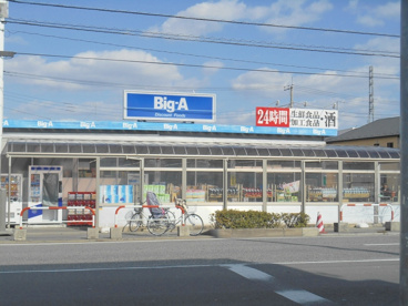 ビッグエー川口安行店の画像1