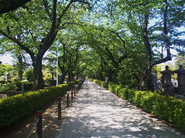 南青山三丁目緑地の画像1