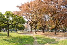 公園 青山公園
