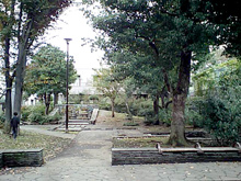 公園 阿佐谷けやき公園