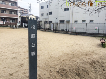 松原公園の画像1