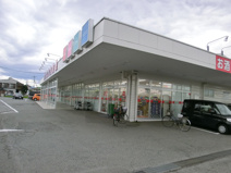 スギドラッグ 剣崎店