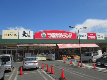 つるかめランド東大和店の画像1