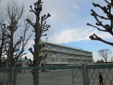 国分寺市立 第十小学校の画像1