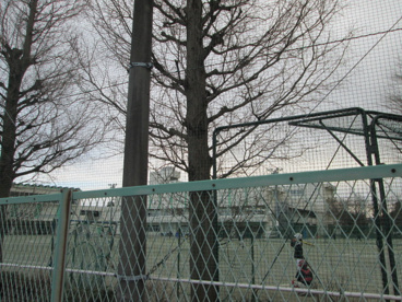 国分寺市立第五中学校の画像1