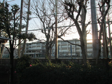 立川市立第八中学校の画像1