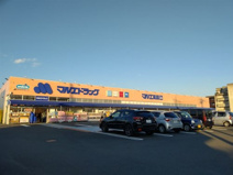 マルエドラッグ高崎下小鳥店