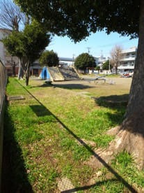 天台公園の画像2