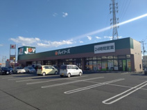 ジョイフーズ高崎上佐野店