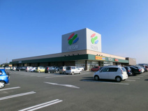 フレッセイ大利根店