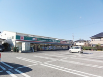 ドラッグセイムス柏花野井店