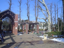 馬場公園
