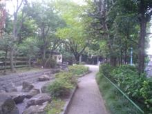 公園 和田中央公園