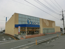 パシオス中居店