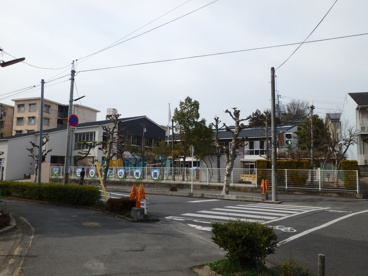 しらゆり幼稚園の画像3