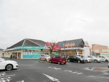 金光薬品 庭瀬店の画像2