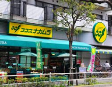 ココスナカムラ 麹町店