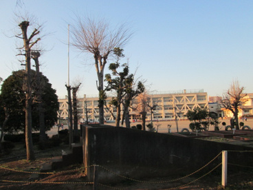 立川市立第七小学校の画像1