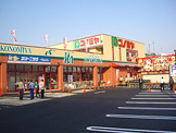 コノミヤ大蓮東