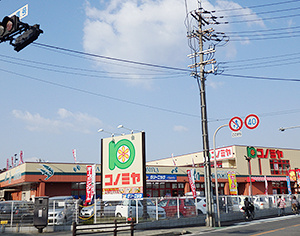 コノミヤ大蓮東の画像2