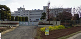 小学校 川越市立牛子小学校