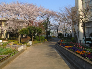 さいたま市立大宮西中学校の画像1