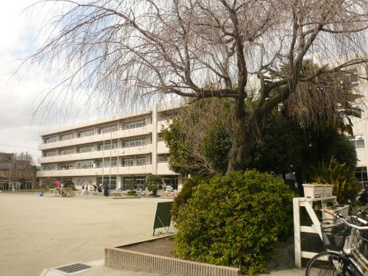 さいたま市立東大成小学校の画像2