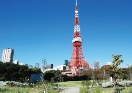 港区立芝公園の画像1