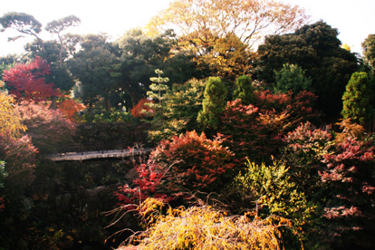 紅葉山公園の画像2