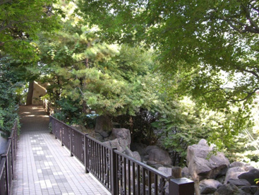 紅葉山公園の画像3