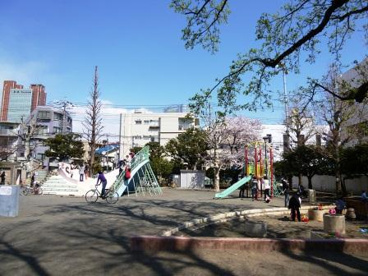 丸山公園の画像1