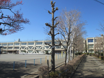 立川市立柏小学校の画像1