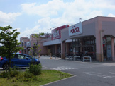 ベルクス草加青柳店