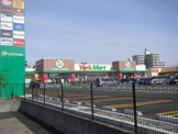 ヨークマート草加店