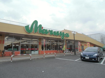 マルヤ草加柳島店の画像1