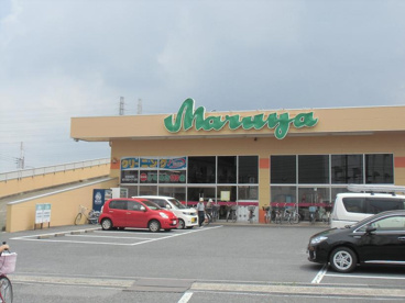 マルヤ草加柳島店の画像2