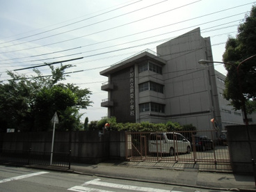 草加市立 新栄小学校の画像1