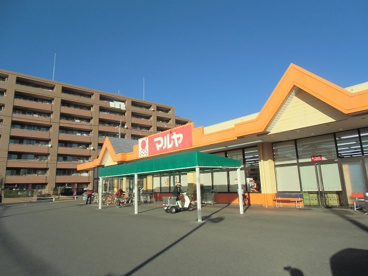 マルヤ登戸店の画像1