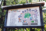 山吹幼稚園の画像2