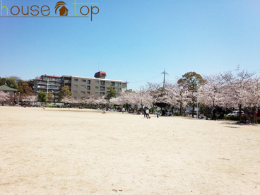 高木公園の画像1